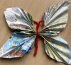 Atlas Schmetterling