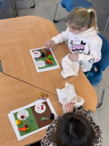 Projekt Zahngesundheit
