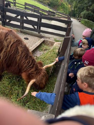 Ausflug der Klassen 2a und 2b zum Tierpark Bielefeld- Olderdissen