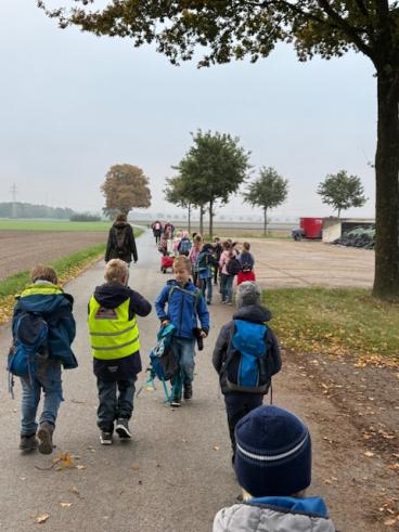 Wandern 7