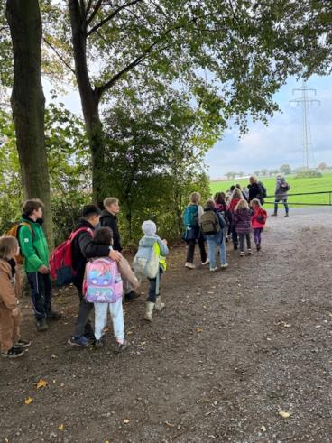 Wandern 3
