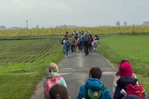 Wandern 5