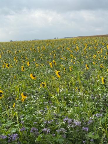 Wandern 7