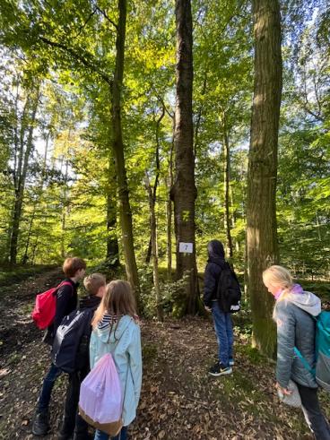 Waldjugendspiele im Tudorfer Wald Kl. 4a u. 4b