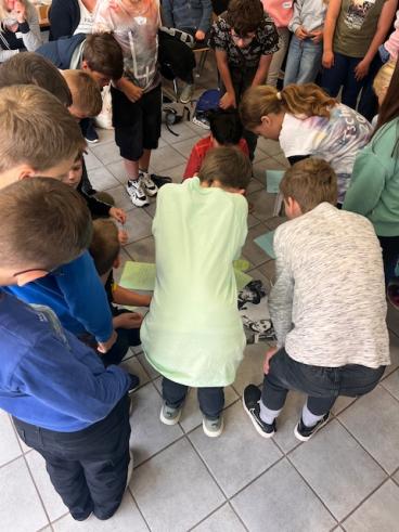 Kinder betrachten