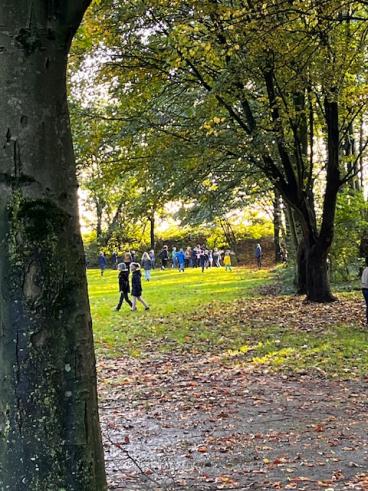 Wandern 8