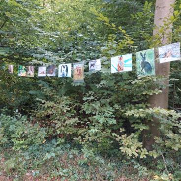 Wald 2