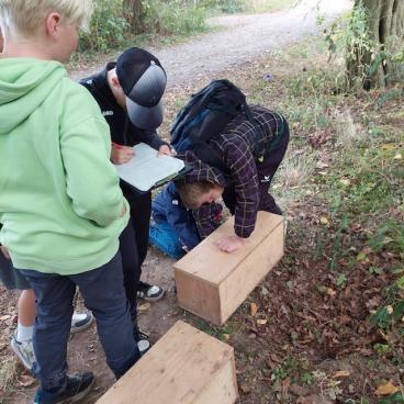 Wald 5