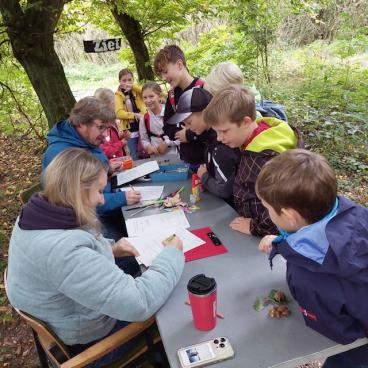 Wald 6