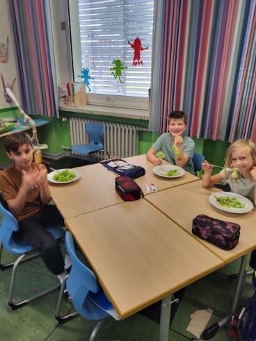 Schulgarten-Sch3